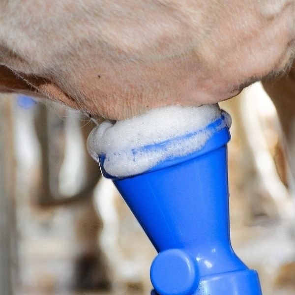 PX-196 / L SAĞIM ÖNCESİ MEME TEMİZLİK SIVISI