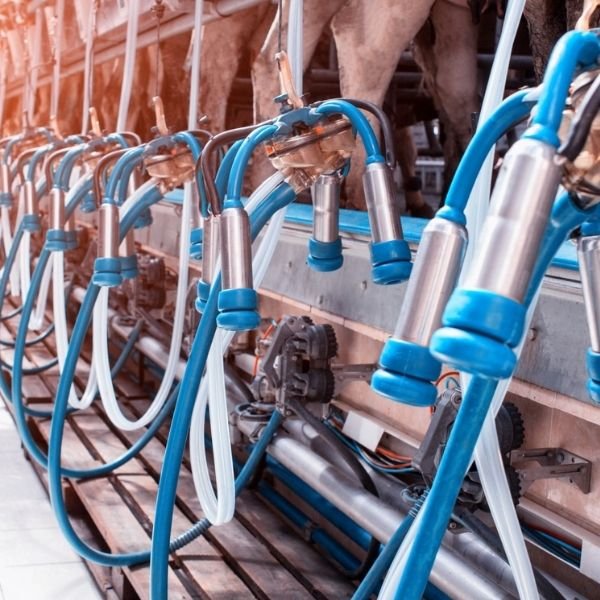 POLAKS PX-248 / P SAĞIM BAŞLIKLARI HİJYEN SIVISI