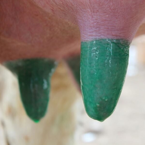 POLAKS PX-197 / L SAĞIM SONRASI MEME TEMİZLİK SIVISI (BARİYER)