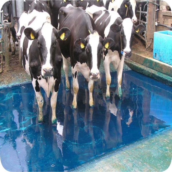 POLAKS PX-210 / K AYAK-TIRNAK TEMİZLİK ÜRÜNÜ (TOZ)