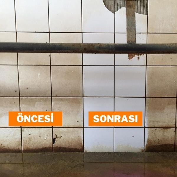 POLAKS PX-257 SAĞIMHANE DIŞ YIKAMA ÜRÜNÜ (ÖZEL ÜRETİM)