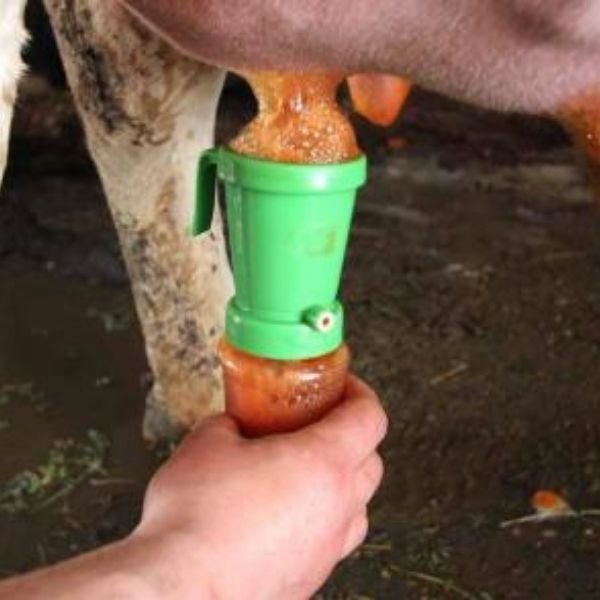 PX-196 / İ SAĞIM ÖNCESİ MEME TEMİZLİK SIVISI