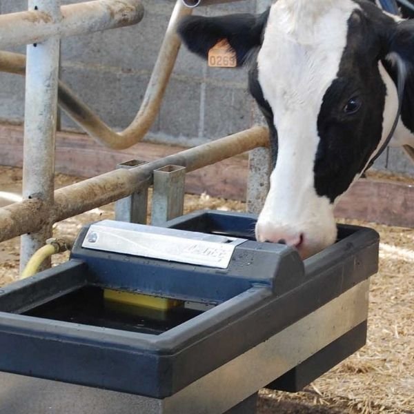 POLAKS PX-242 BÜYÜKBAŞ-KANATLI SULUK TEMİZLİK SIVISI (İNORGANİK)