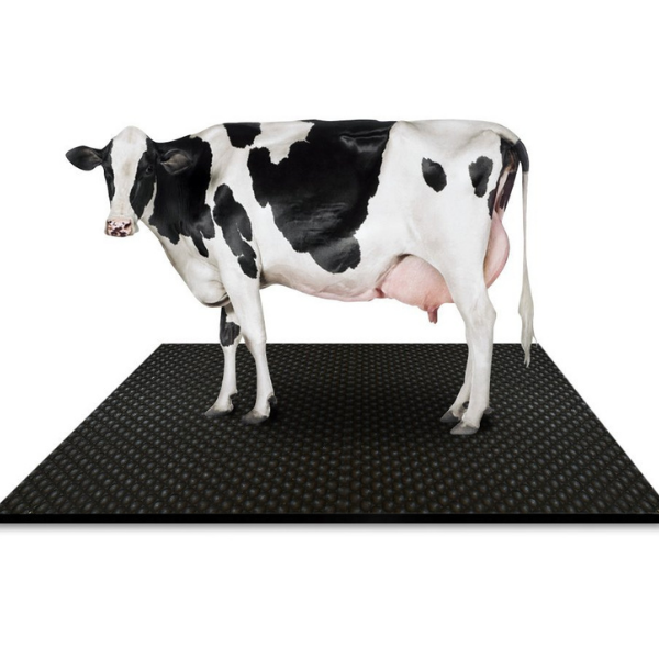 POLAKS PX-277 BÜYÜKBAŞ HAYVAN YATAKLARI TEMİZLİK VE HİJYEN SIVISI (İNORGANİK)